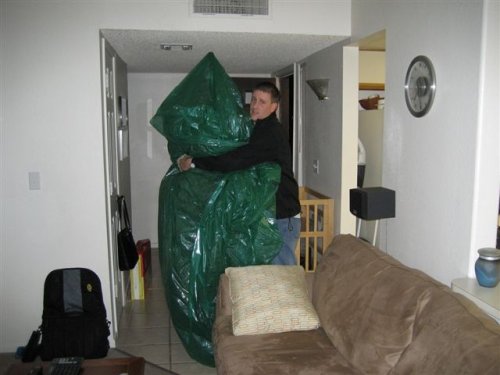 bringing in the tree